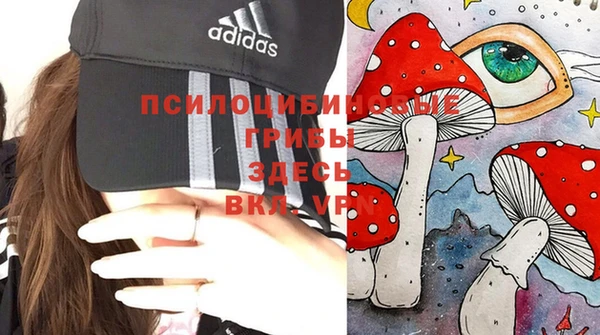 MDMA Premium VHQ Козловка