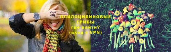 меф Козельск
