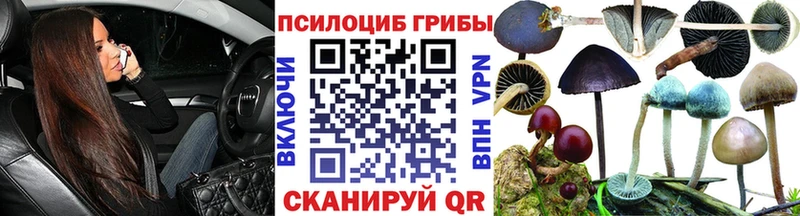 Псилоцибиновые грибы мухоморы  mega   Южно-Сухокумск 